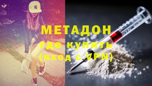 прущие грибы Янаул