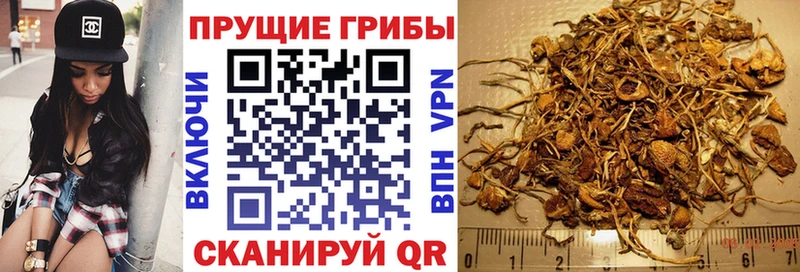 дарнет шоп  Спас-Клепики  мега ССЫЛКА  Псилоцибиновые грибы ЛСД 